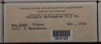 Image Associated With the Occurence